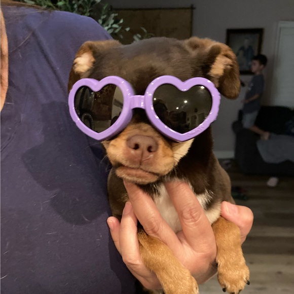 bevvmo